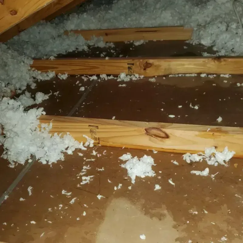 Attic Water Damage in Soda Springs, ID