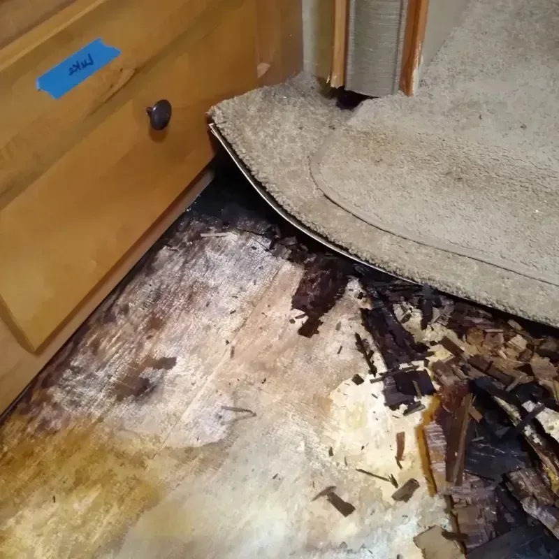 Wood Floor Water Damage in Soda Springs, ID